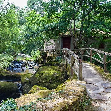 Village De Gites Du Moulin Neuf Getigne Экстерьер фото
