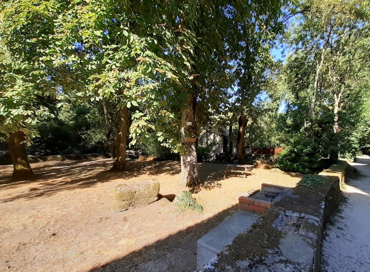 Village De Gites Du Moulin Neuf Getigne Экстерьер фото