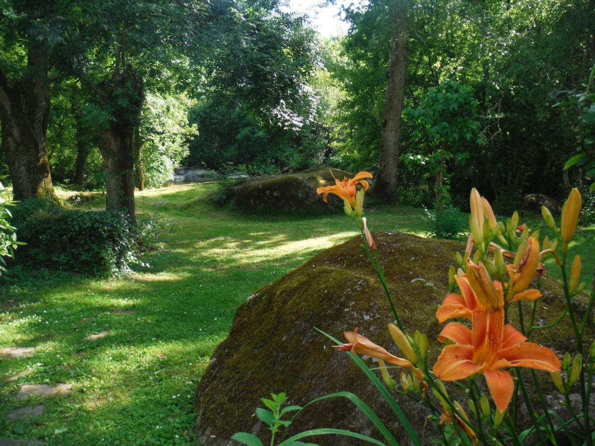 Village De Gites Du Moulin Neuf Getigne Экстерьер фото